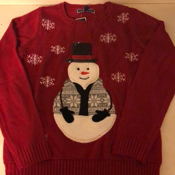 Karen Scott Sweaters - Karen Scott Christmas Sweater in Small